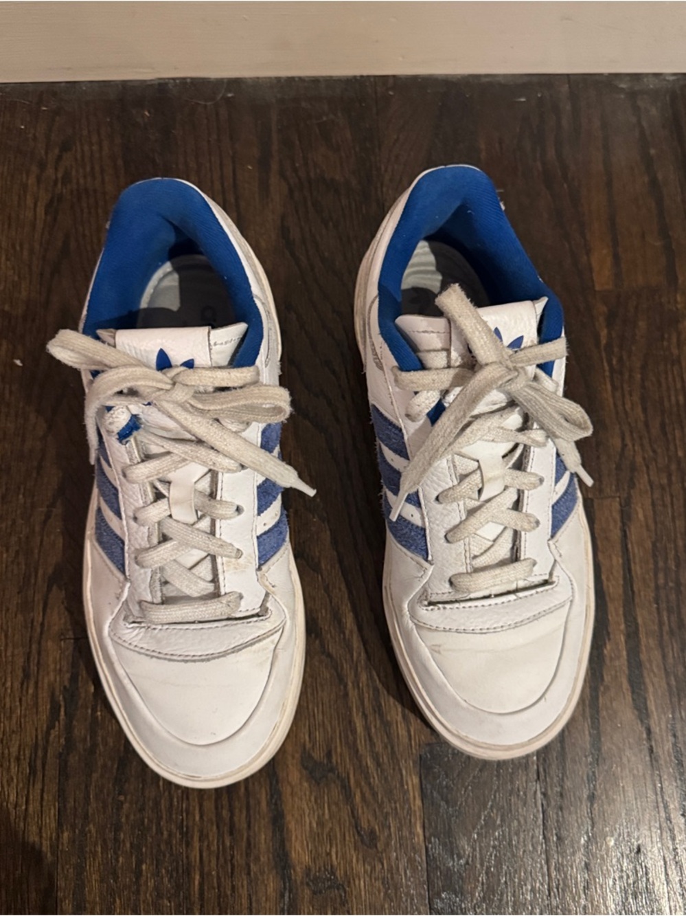 adidas forum bonega cloud white / royal blue - Picture 5 of 8